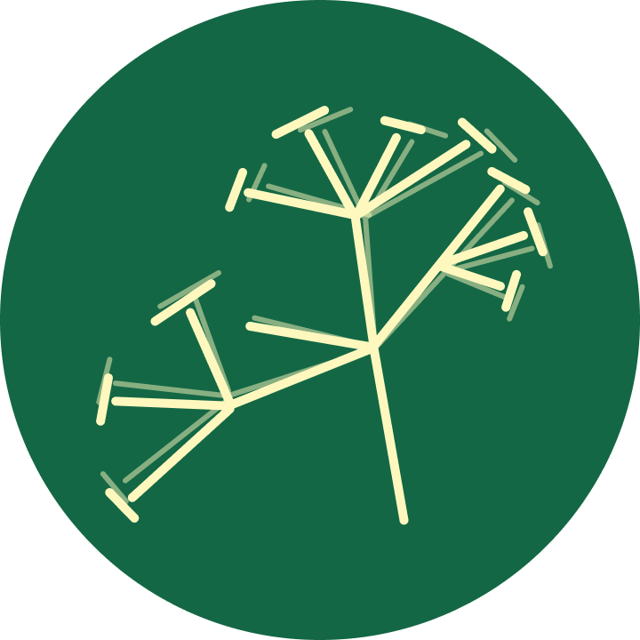 Sahya Digital Conservation Foundation